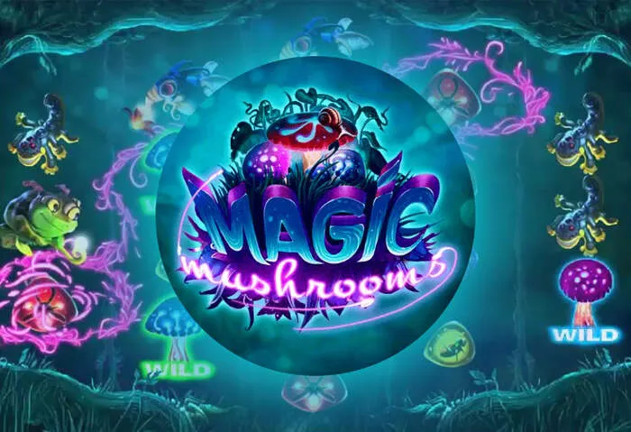 Informazioni e assistenza per il gioco responsabile: un ambiente di gioco sicuro e protetto.